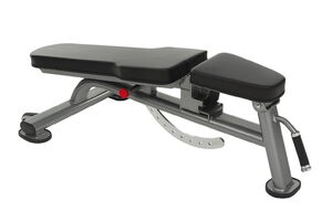 FITNESS DELUXE - Banco Declinado -10 a 90º