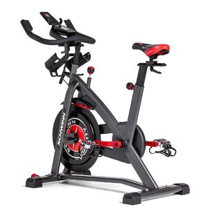 SCHWINN - Bicicleta Indoor Cycle IC8