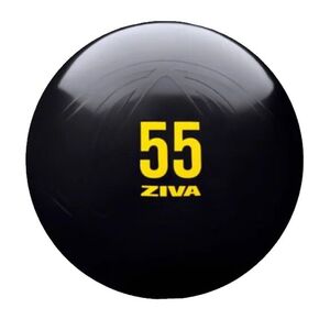 ZIVA Performance FitnessBall