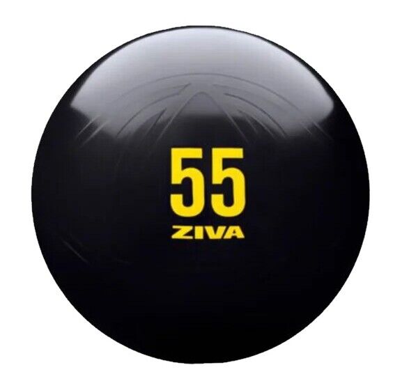 ZIVA - Fitness Bal 55cm, negro