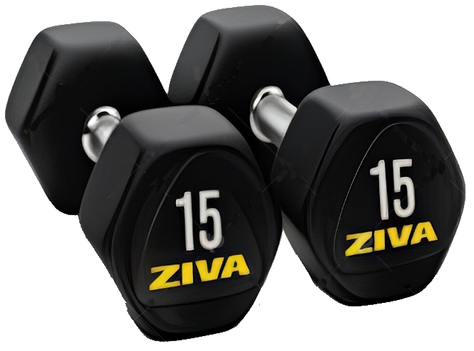 ZIVA PERFORMANCE Halteres Hexagonais, par