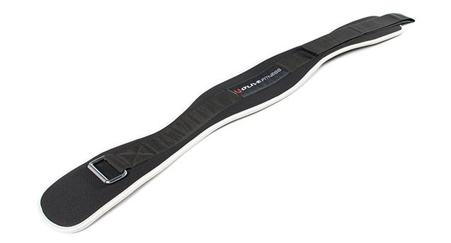 SVELTUS Dip Belt