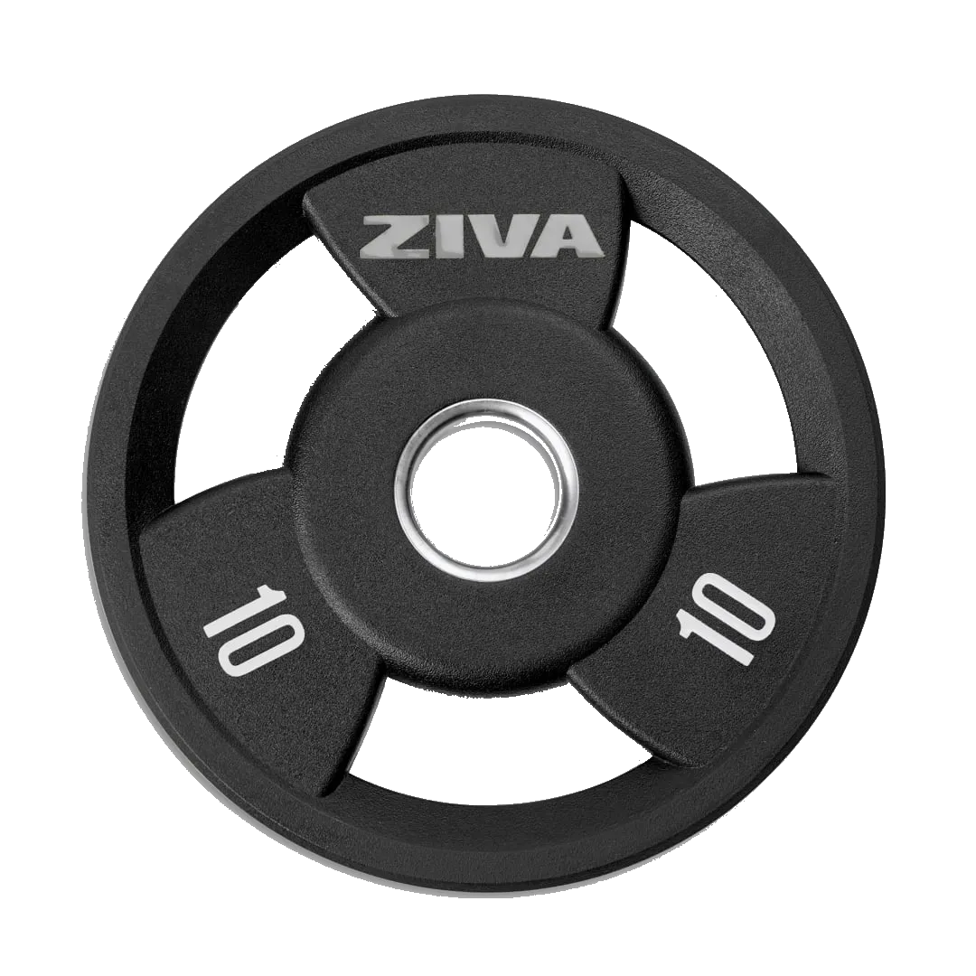 Discos: equipamento Infinity Fitness Solutions